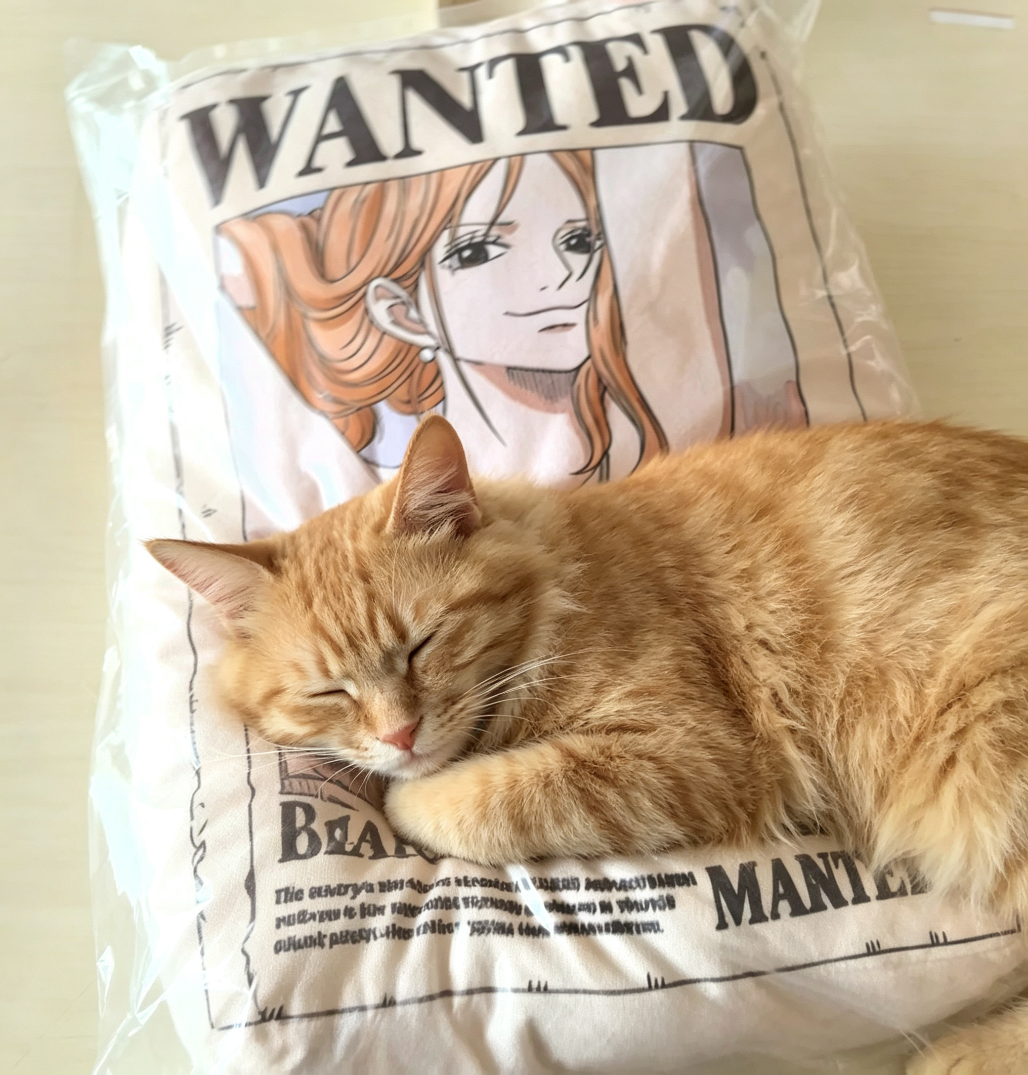 看到实物了，小贼猫我很喜欢，猫也很喜欢 海贼王航海王 通缉令系列双面抱枕