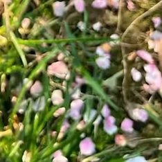 阳光信用 阳光信用 每日一善 昨天再好,也走不回去,明天再难,也要抬脚继续,不管