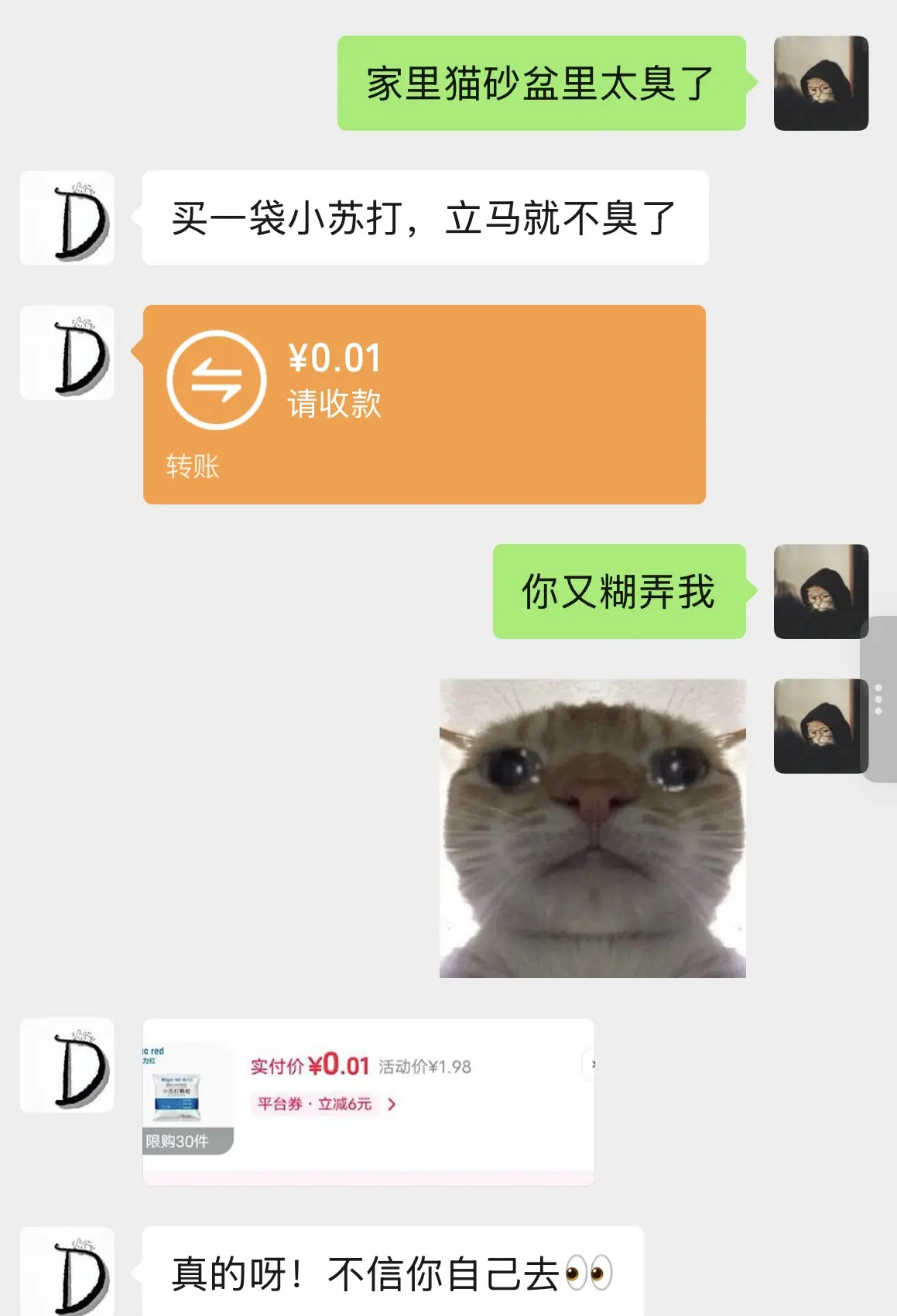 家里猫砂盆臭怎么办？一袋小苏打就能解决