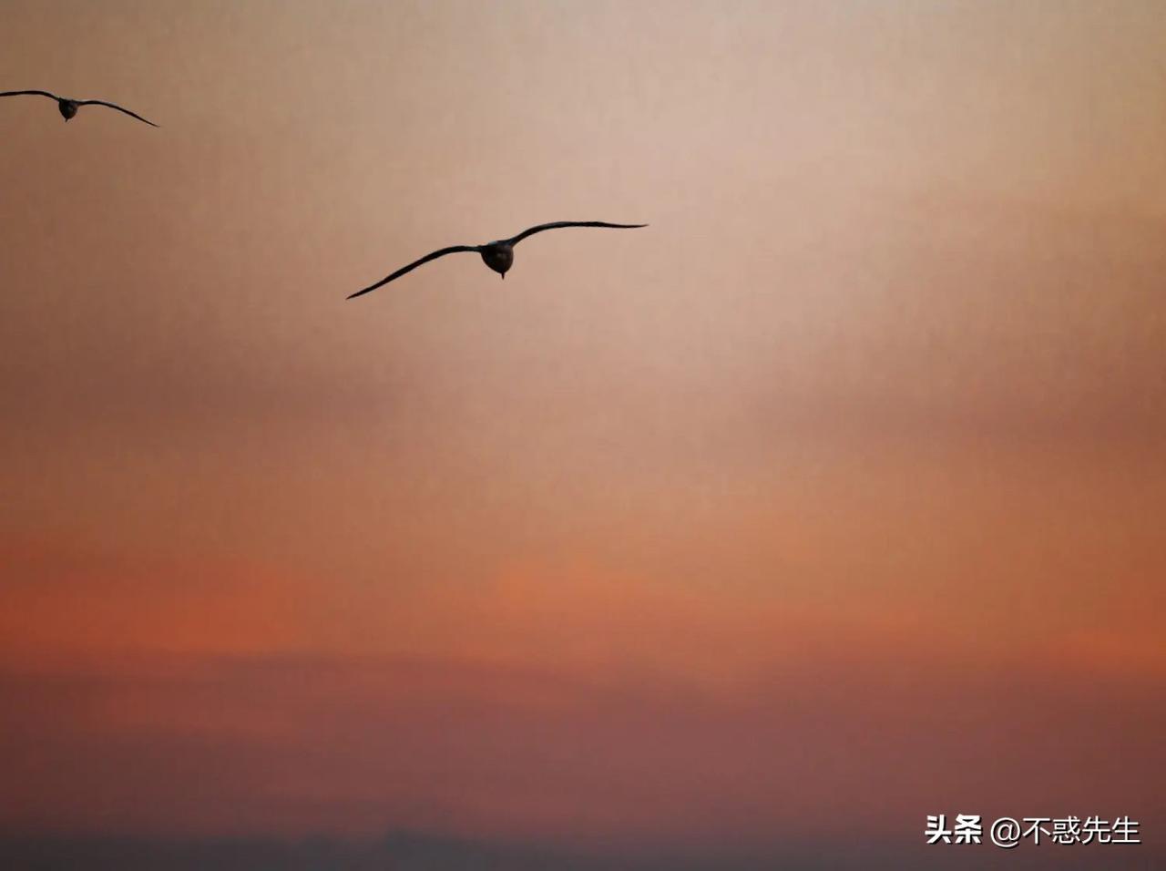 快来看看我新换的主页背景吧