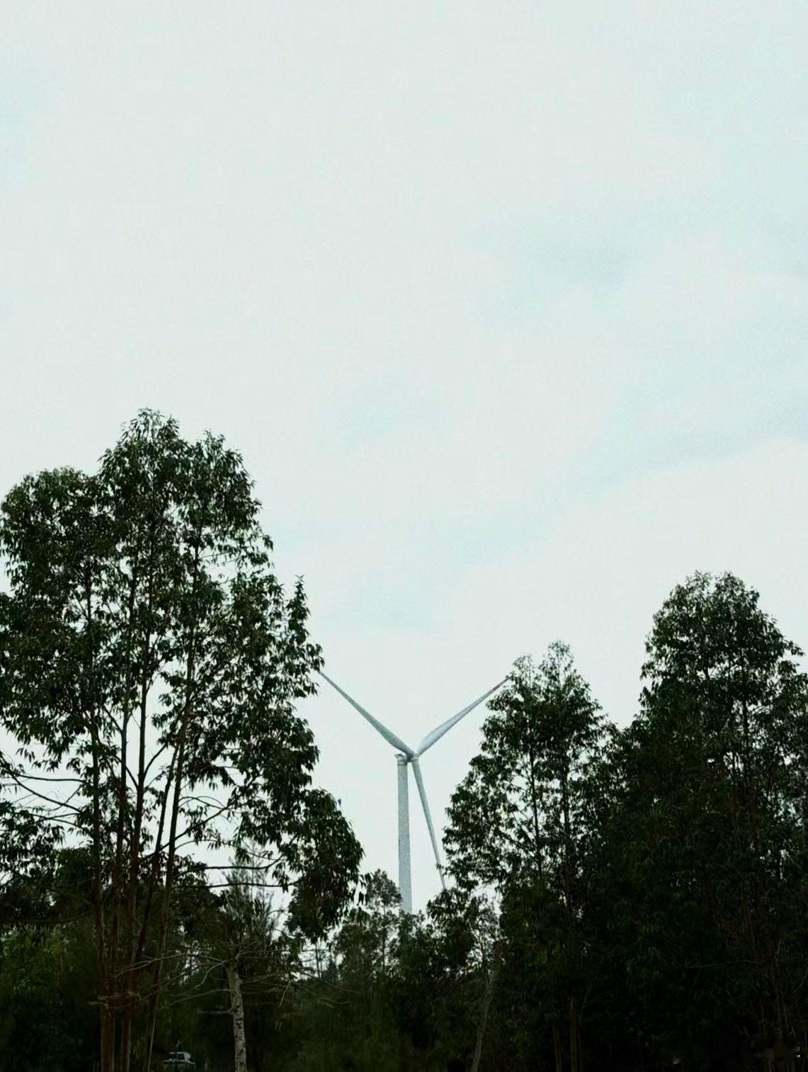 强烈建议小红书出一个滤镜识别功能。就像Ai视频有角标一样，上面旅游攻略的配图真的