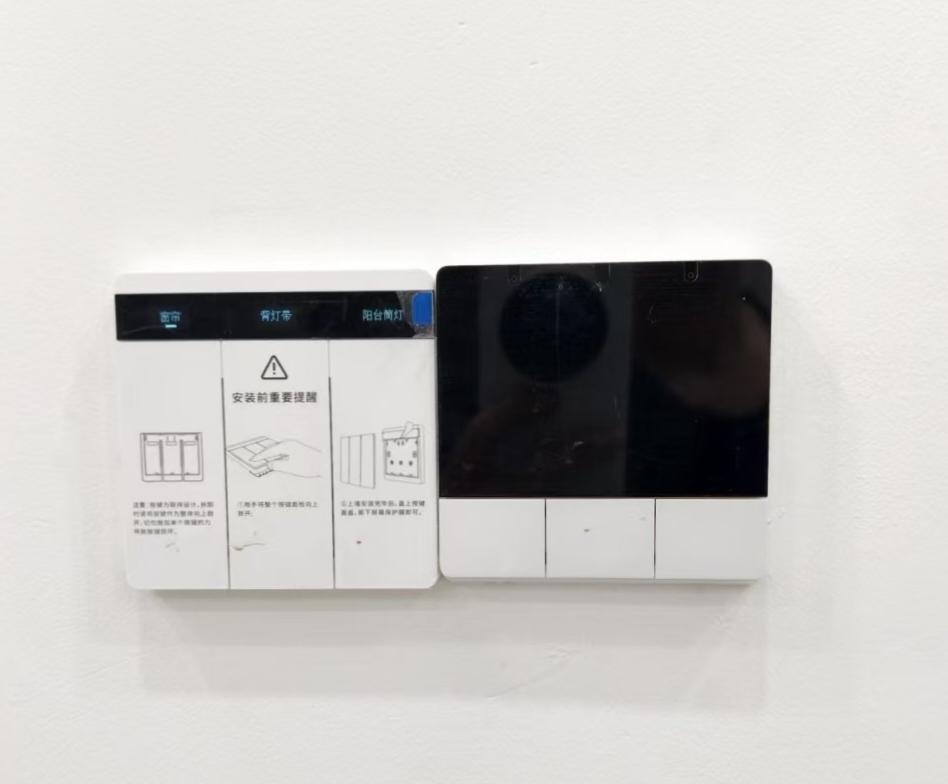 我家的两个不同品牌的智能开关放在一起，能接受？