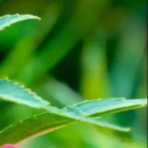 每日一善[超话]‍每日一善 做一个内心有光的人，明媚自己也明媚世界，心存善念，人