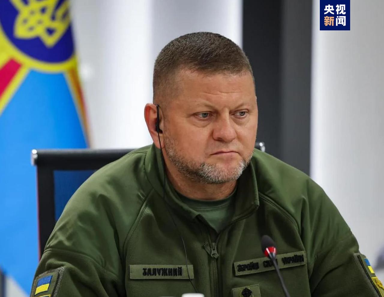 扎卢日内一句话撕开俄乌战场真相！美国、中国、欧洲都喊停火，为何炮火依旧没停？真正