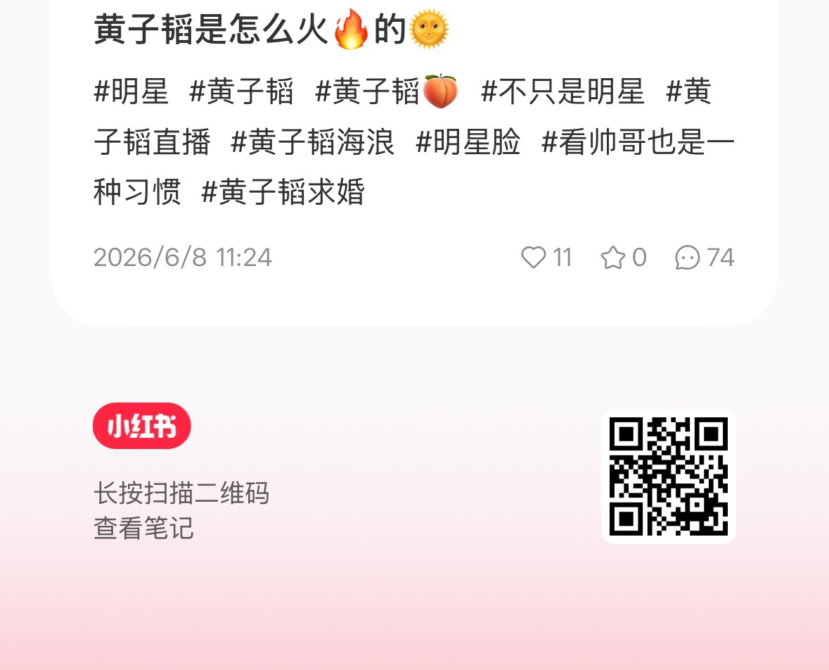 🍠需要大家来🧹一下，不回黑，顶自家粉丝评论