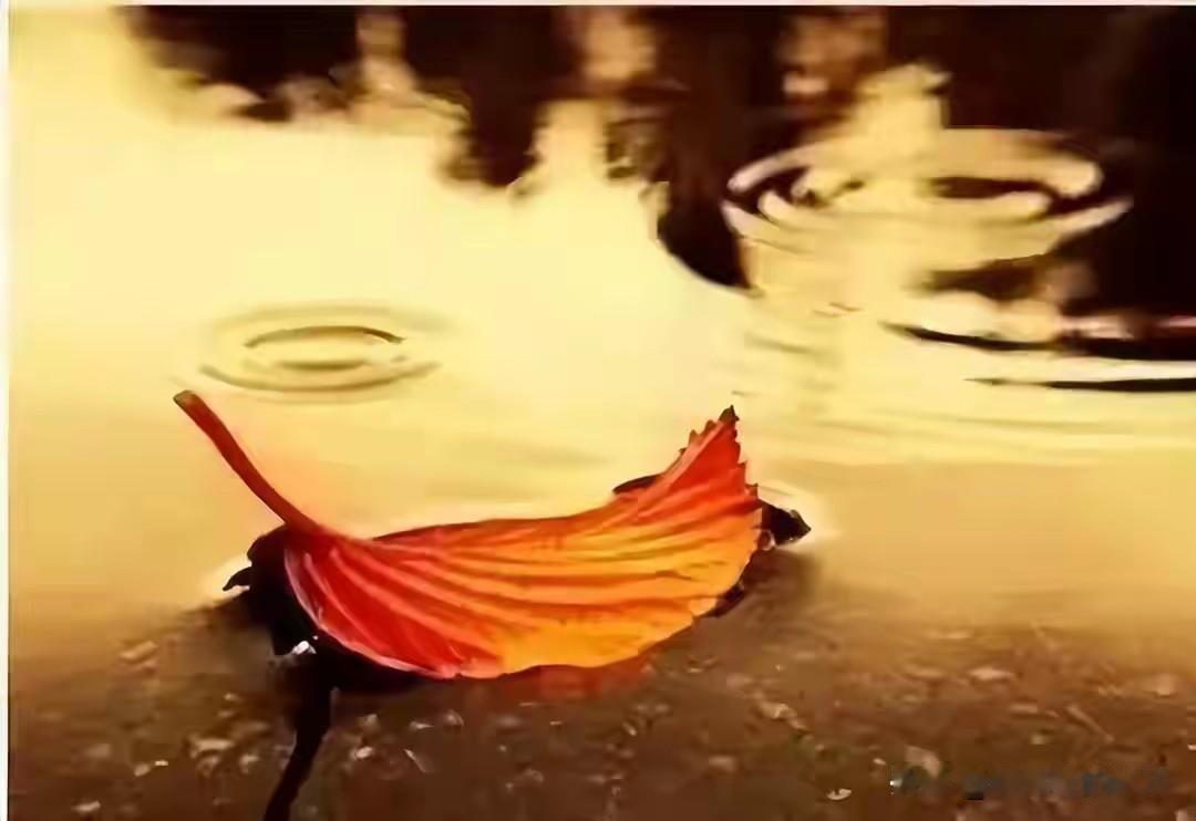 昨天中午同事孩子结婚，我去随礼。坐在一起的十个人都是二十年前的同事，只有我自己喝