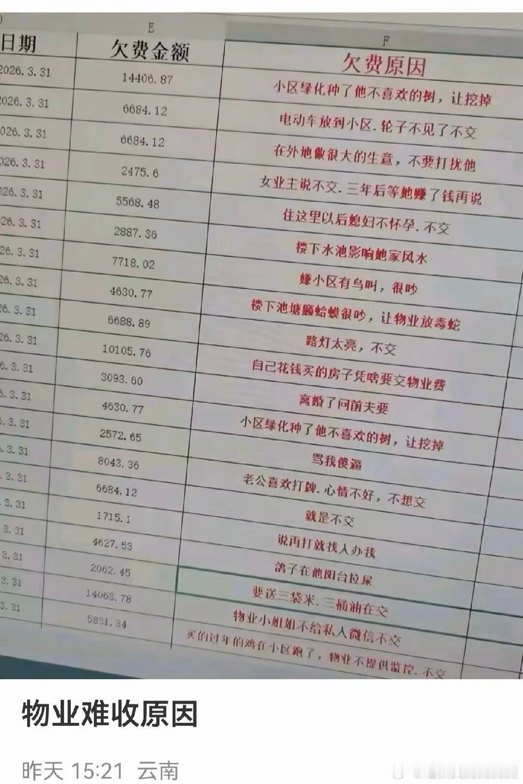4603小区绿化到底种了啥 