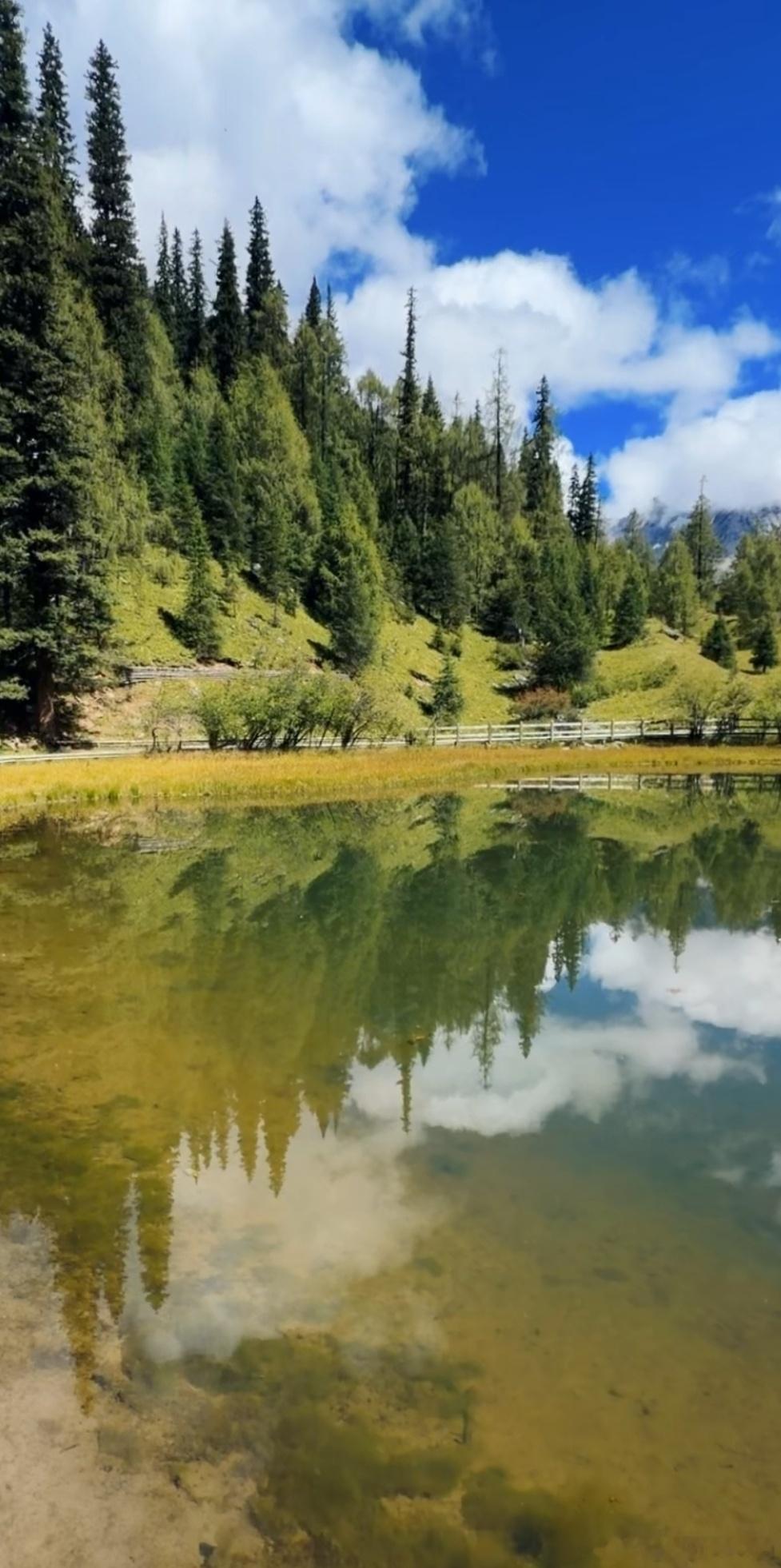 生活手记读书陆游的诗词选（二二一）雨晴游洞宫山天庄观坐间复雨近水松篁锁翠微，洞天
