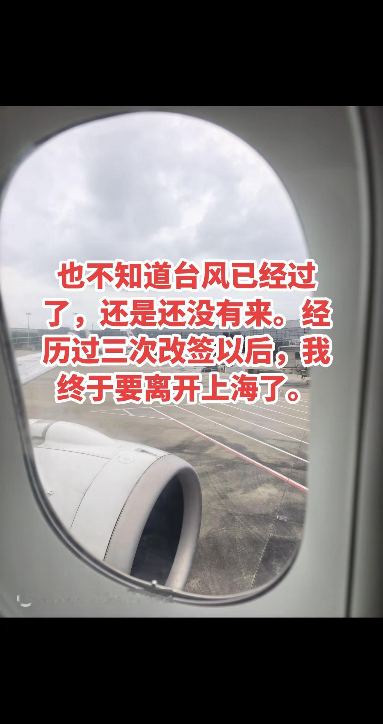 再见了！上海。