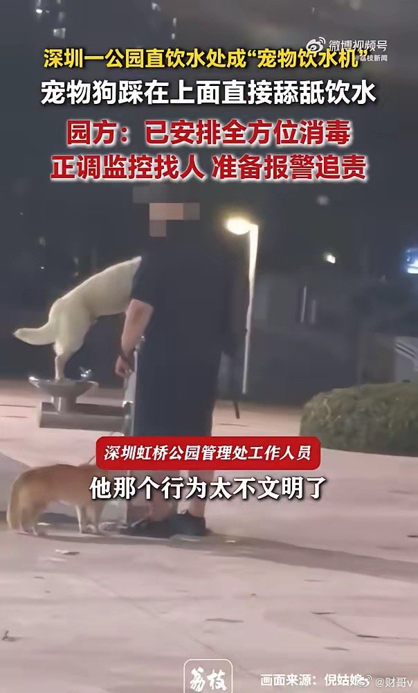 深圳湾公园回应狗喝直饮水一公园直饮水处被宠物狗踩在上面直接舔舐饮水，狗主人站在一