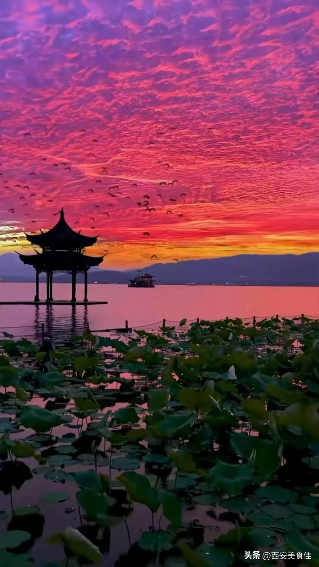 杭州西湖昨天美丽的晚霞，
愿“雷声大，雨点小”，
愿台风温柔以待，
愿大家平安！