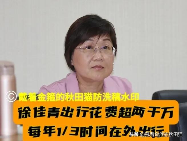 太离谱！每年1/3时间在外“考察”，徐佳青花掉2383万公帑，网友97%喊离谱，
