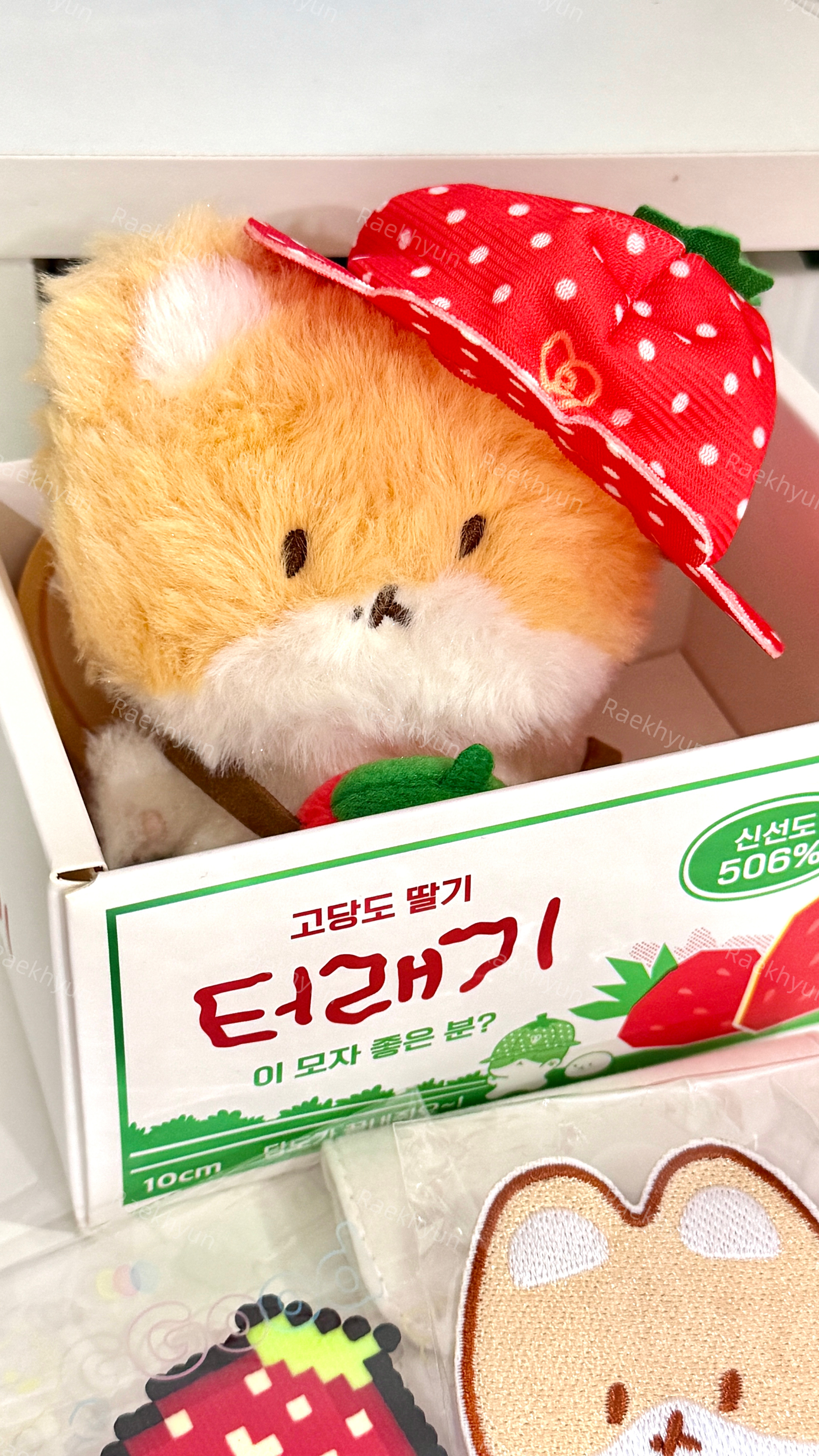 欢迎孩子回家喵😆 