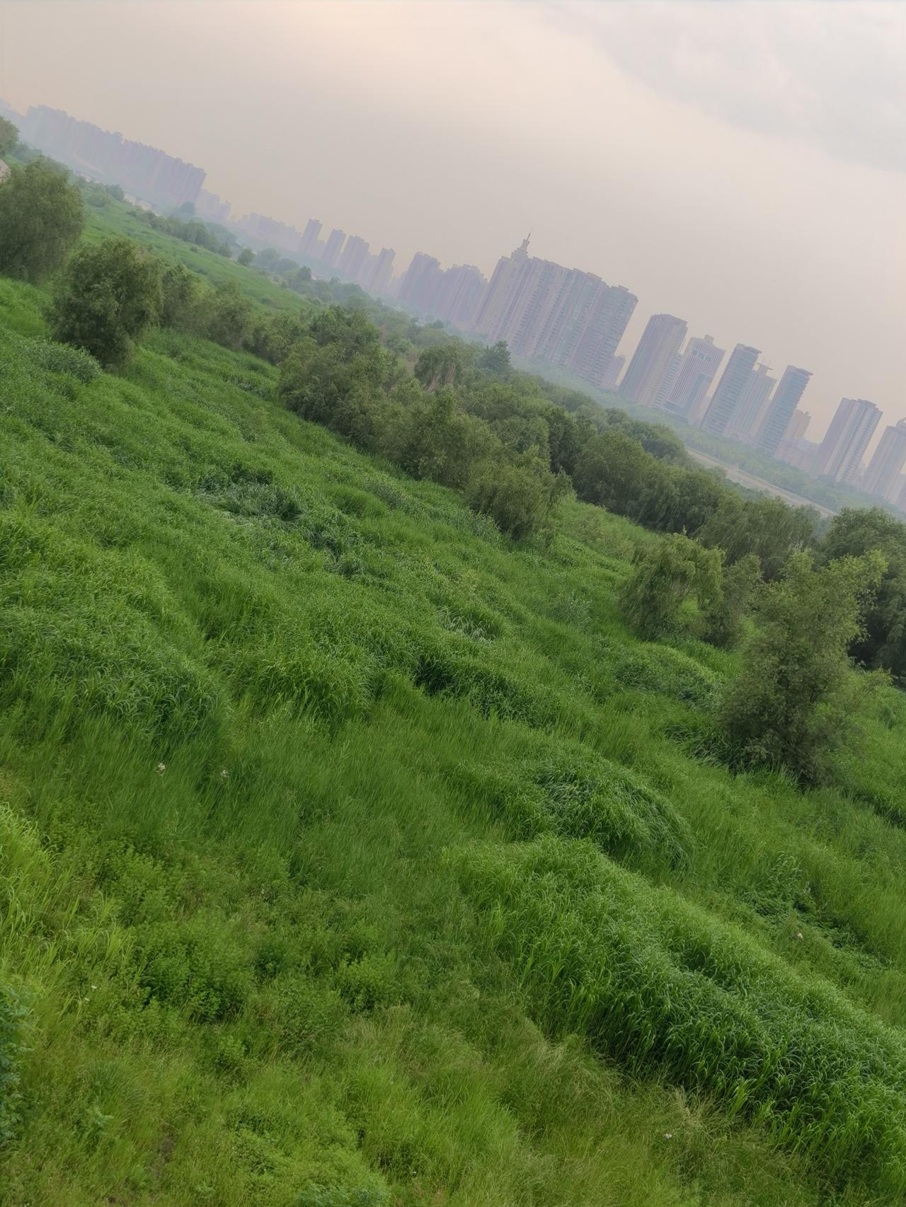 追电视剧《主角》，主题歌词你知道吗？
        作者  赖婷

过了花期 