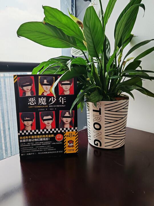 吓人: 表面人畜无害，内里邪恶至极