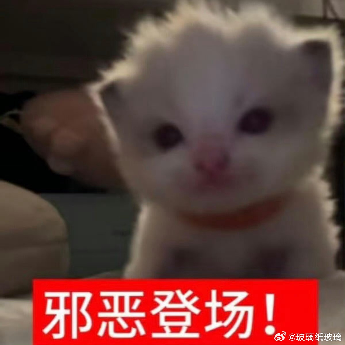 大家晚上好呀，想问问大家，b站上有什么越超年下向（或者cb向）你们觉得必看的视频