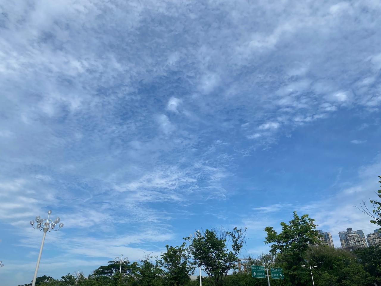 天蓝蓝，跑完很爽
备战下半年的马拉松比赛[奋斗]