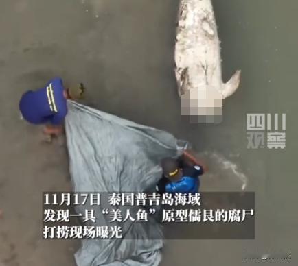 迷信害死“美人鱼”呀！就因为相信眼泪可以辟邪就对儒艮下手。
 
以前就听说过他们