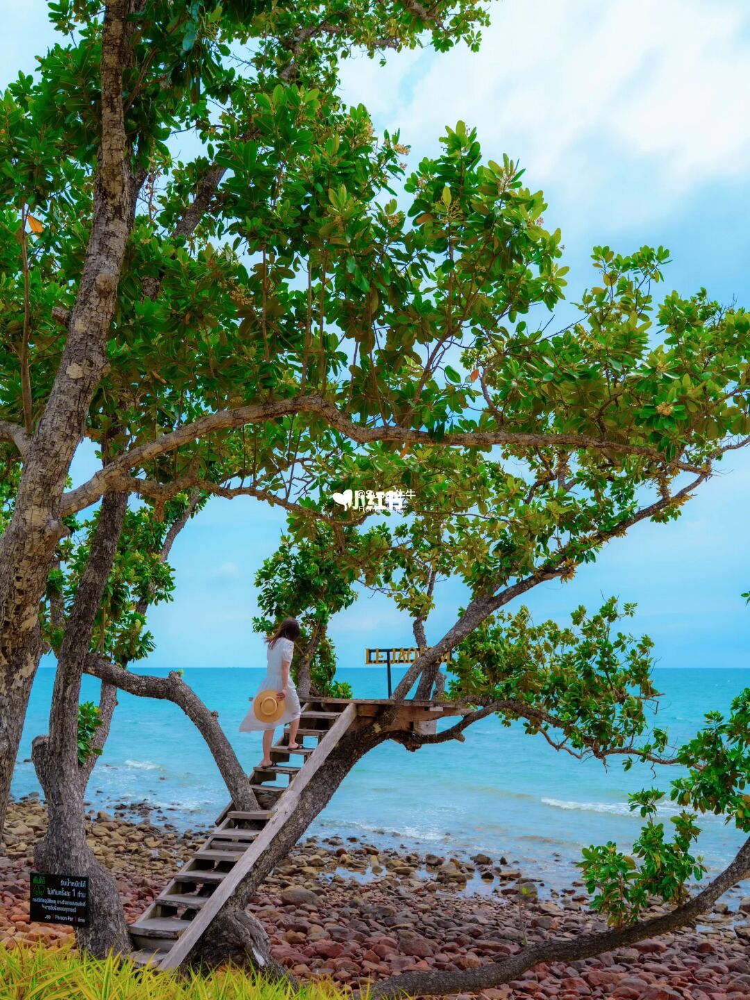 泰国🇹🇭象岛 |美哭✨小众看海·落日咖啡厅