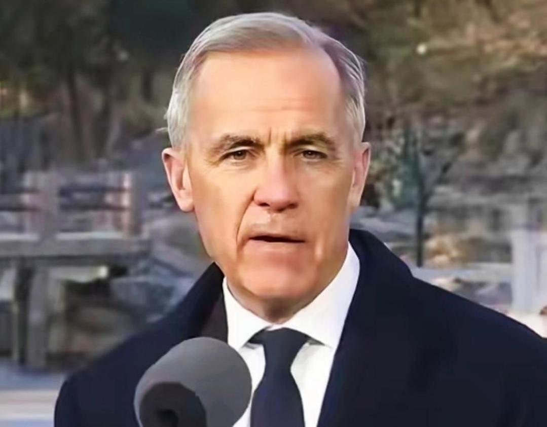 你们发现了吗
加拿大的总理卡尼、法国马克龙和韩国总统李在明其实是一个套路，那就是