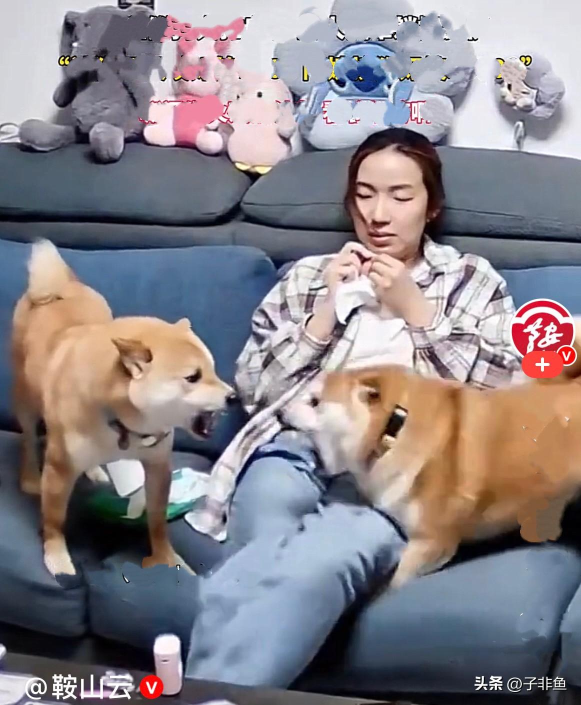 近日，四川一家两只狗在沙发上隔着坐在中间的小姑娘，大打出手互不相让，小姑娘安安稳