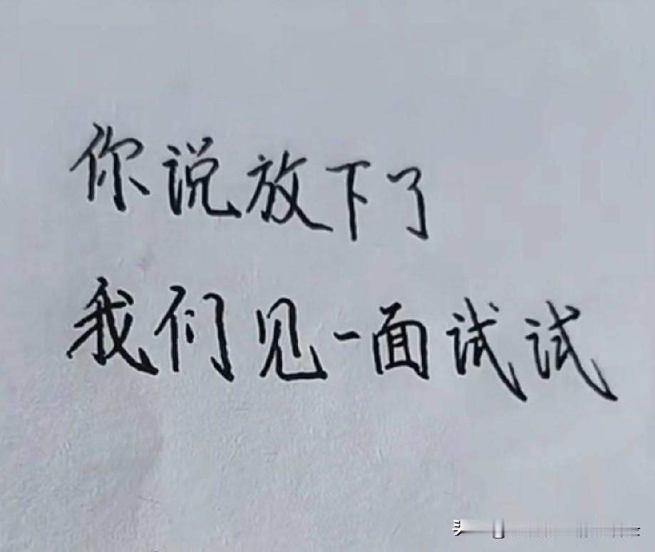 你说放下了
我们见一面试试
你说不爱了
我们抱一下试试
你说无话可说了
我们醉一