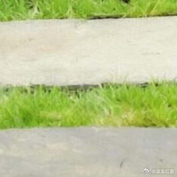 人生在世，难免会遇到走不通的路、想不通的事、放不下的执念。很多时候，我们执着于一