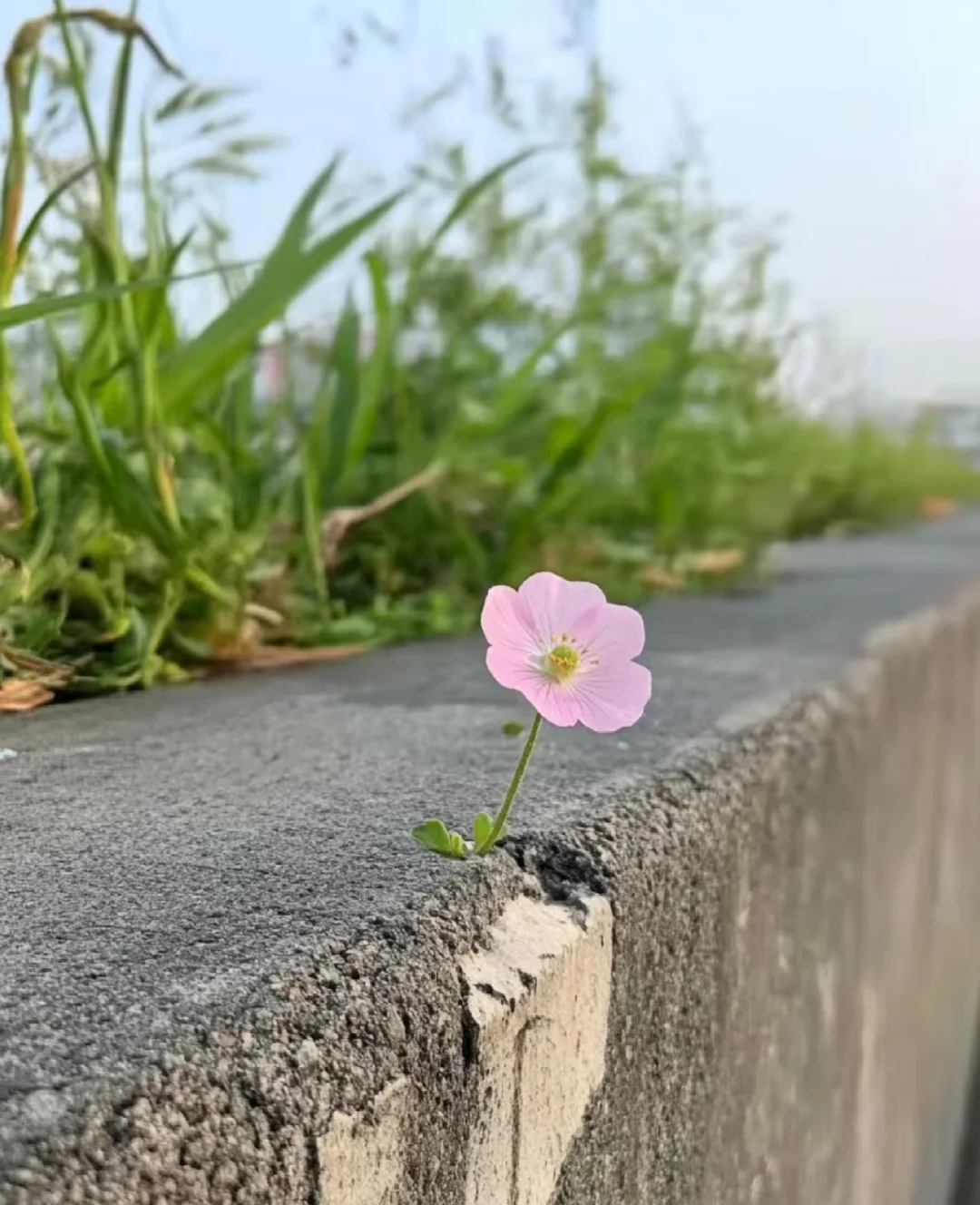 夫妻各花各的钱， 这日子能长久吗？ 别傻了！ 各赚各花，早晚得散， 钱...