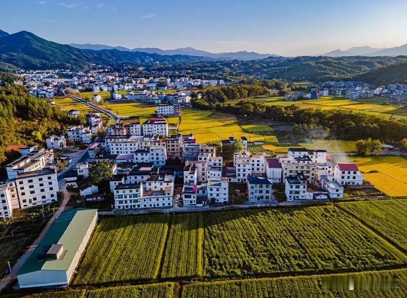 如何带动更多人建设美丽乡村? 想带动更多人建设美丽乡村，得从多方面发力。
要让大