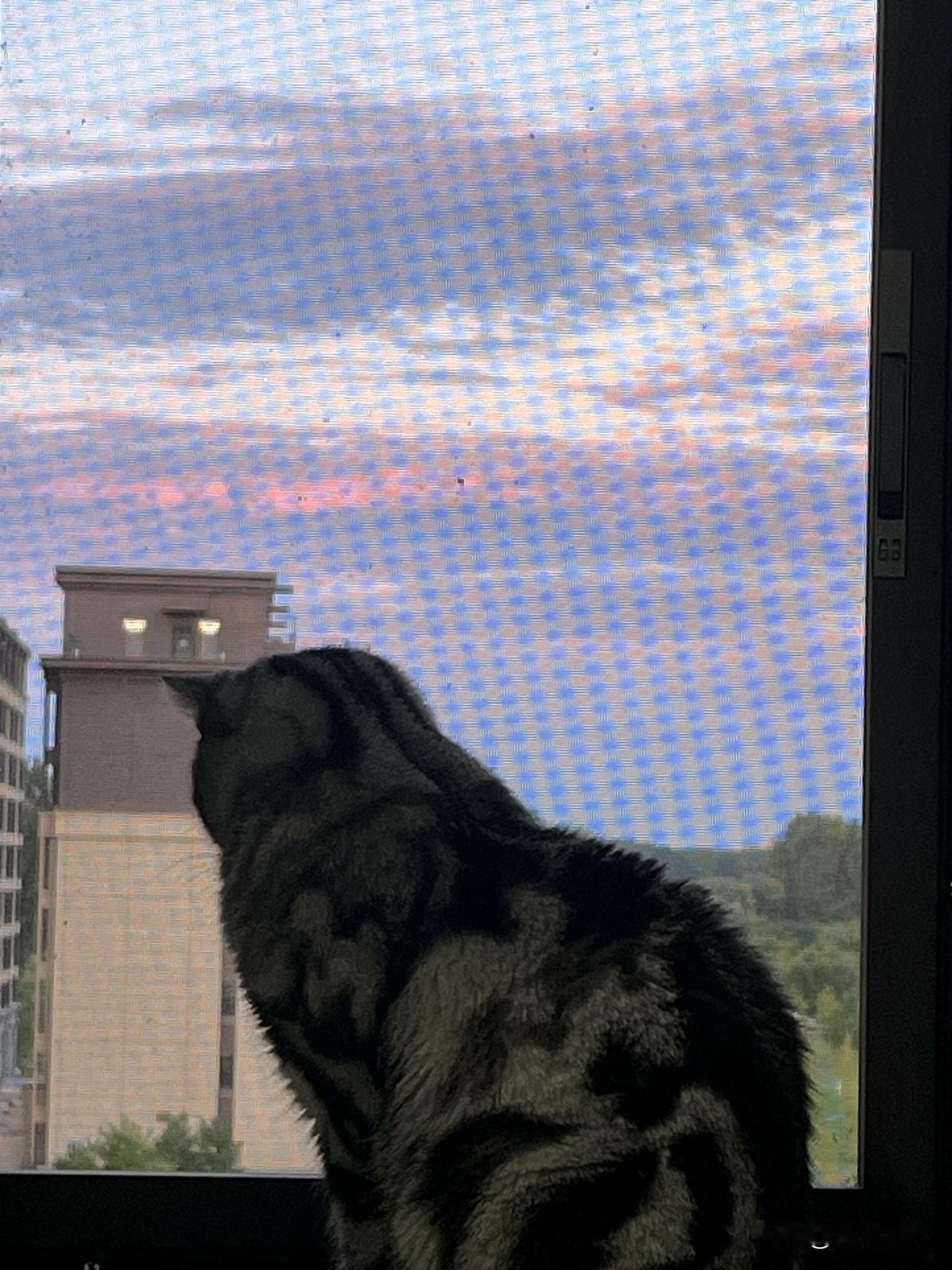 昨天傍晚的晚霞

昨天傍晚夕阳西下，天空朵朵云霞被阳光映照的如此美丽。

天空的