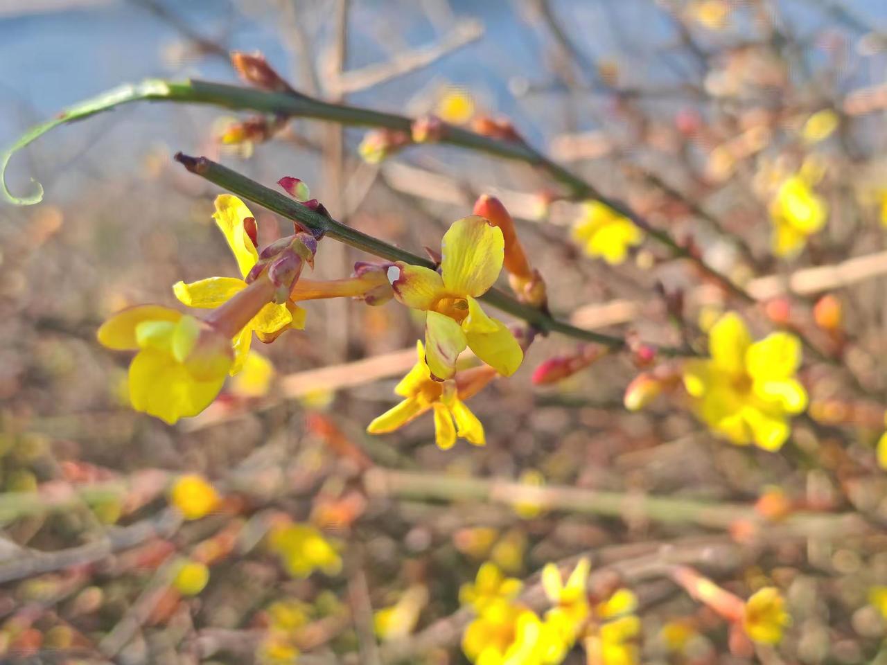 随拍 图文热点来了登上山顶看美景 随手一拍都是美景大自然的美无处不在