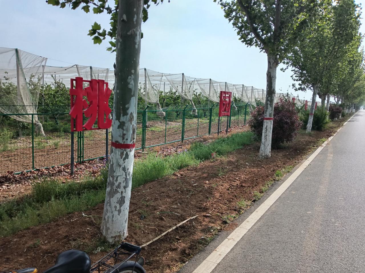 为我的真诚创作点赞！ 👍❤️🔥你也快来发布一条吧！带