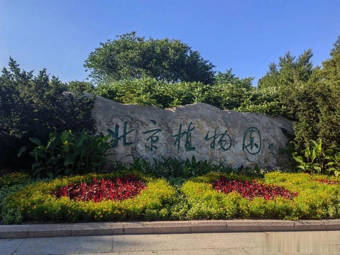  
因为北京植物园简直太漂亮了！
植物园适合晨跑，锻炼，拍照。
如果家在附近，天