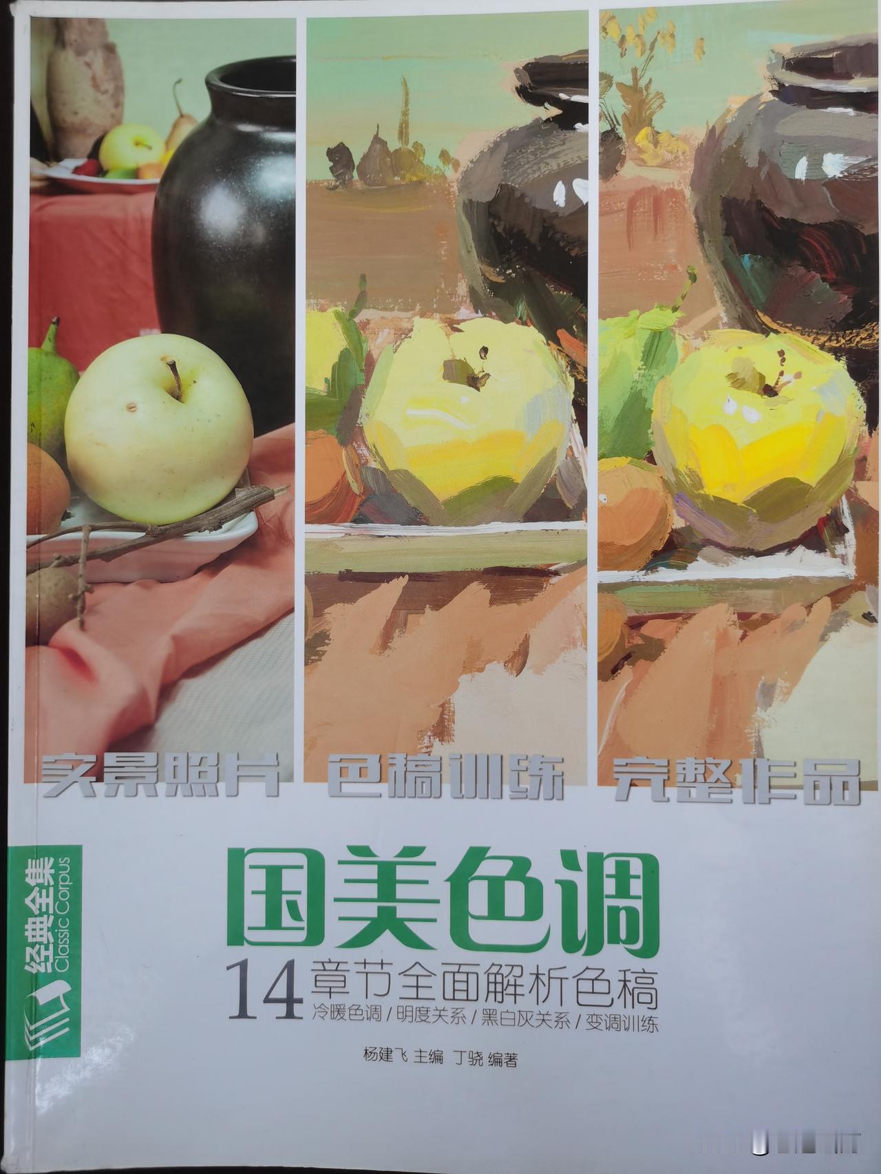《国美色调》，给我第一感觉是，中国美院高考色彩就这种，翻开一看，只字没提中国美院
