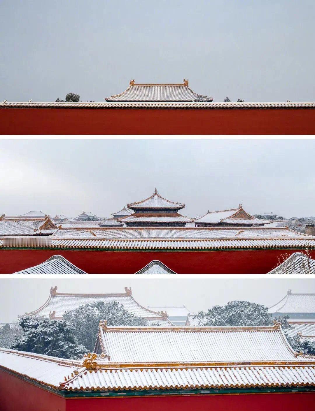 北京的雪 唯有雪色真绝色，飘落时节动京城。快点，我大故宫等着上妆呢[嘻嘻] 