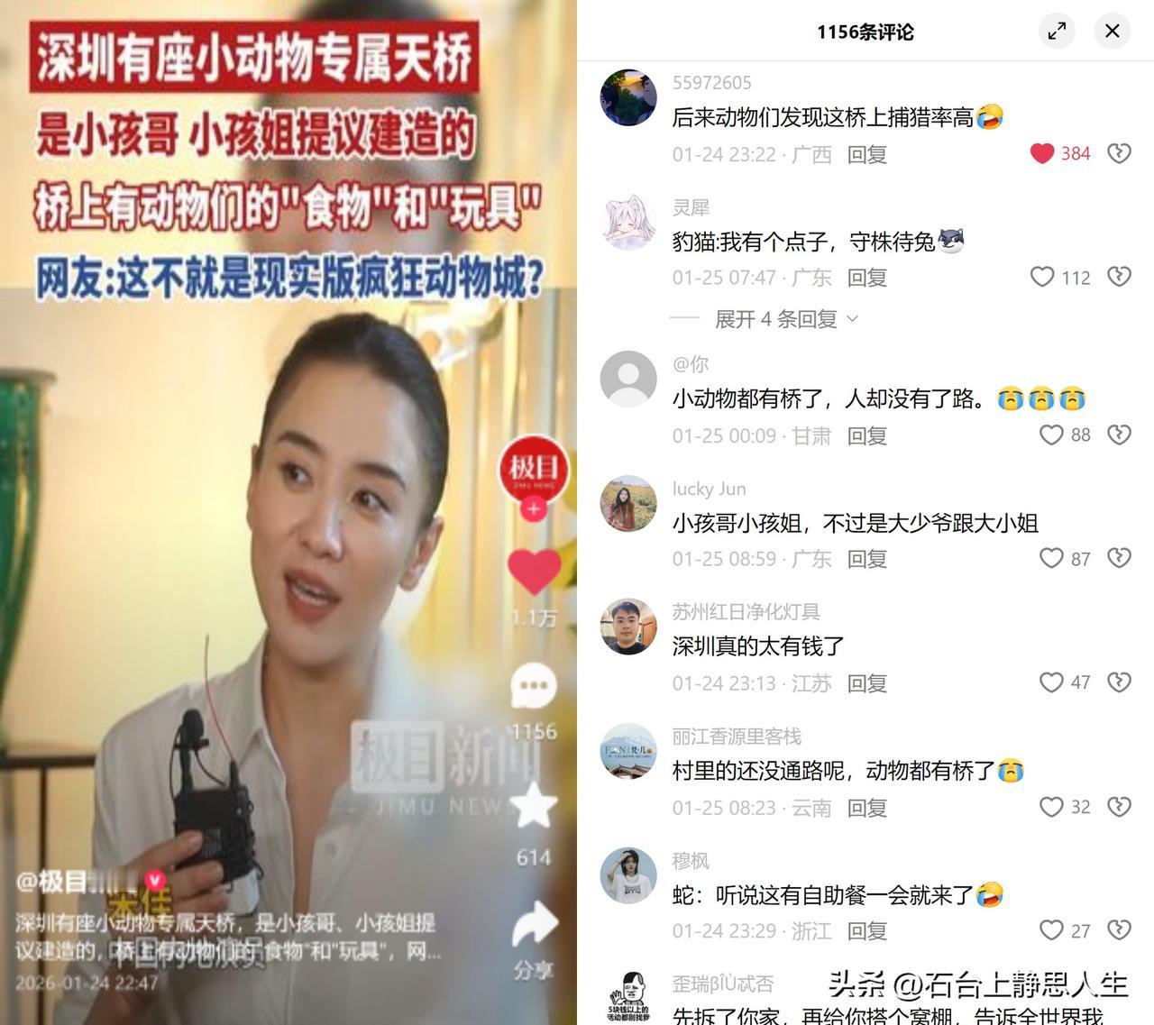 深圳那座小孩提议的动物天桥，最近又被骂上热搜了。

事情很简单：梅观公路上建