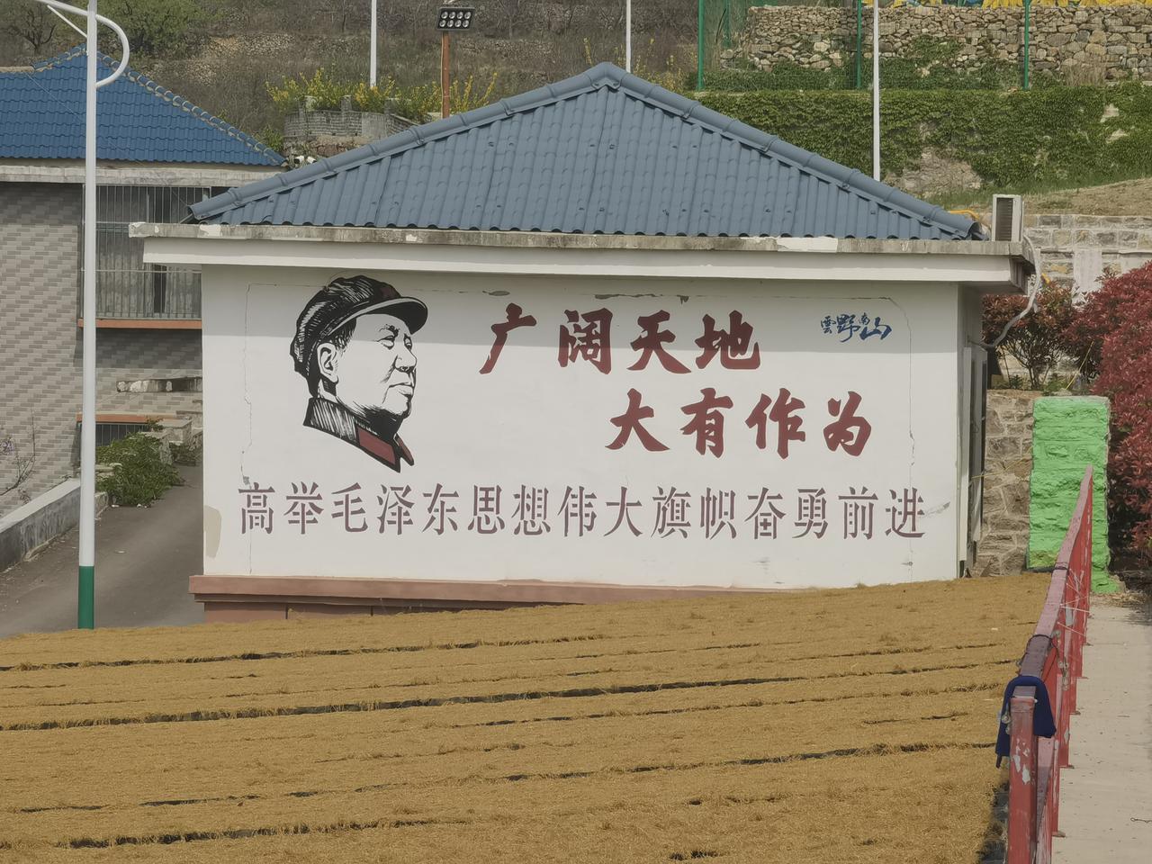 云野南山农文旅基地考察交流