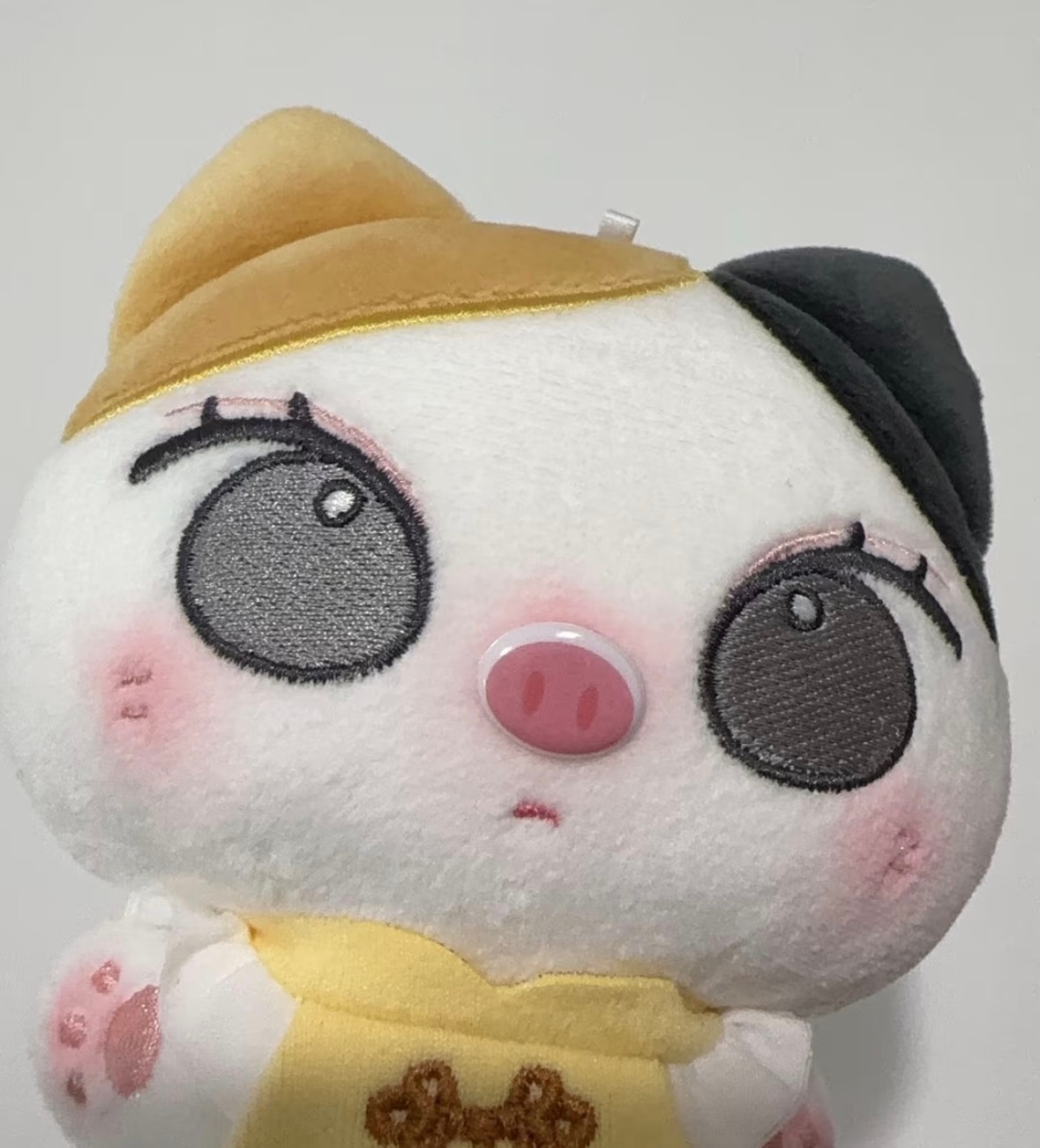 懵懵是个小猪包！ ​​​