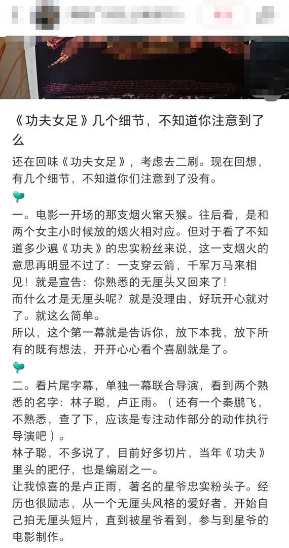 功夫女足隐喻其他队伍全都依仗自身优势肆意施压、刁难娥眉队，而主角团全程不依靠外部
