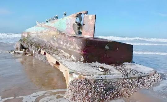 航母才是最大捕鱼船？一位从事了大半辈子海上捕捞作业的渔民表示：辽宁舰每次回港都会