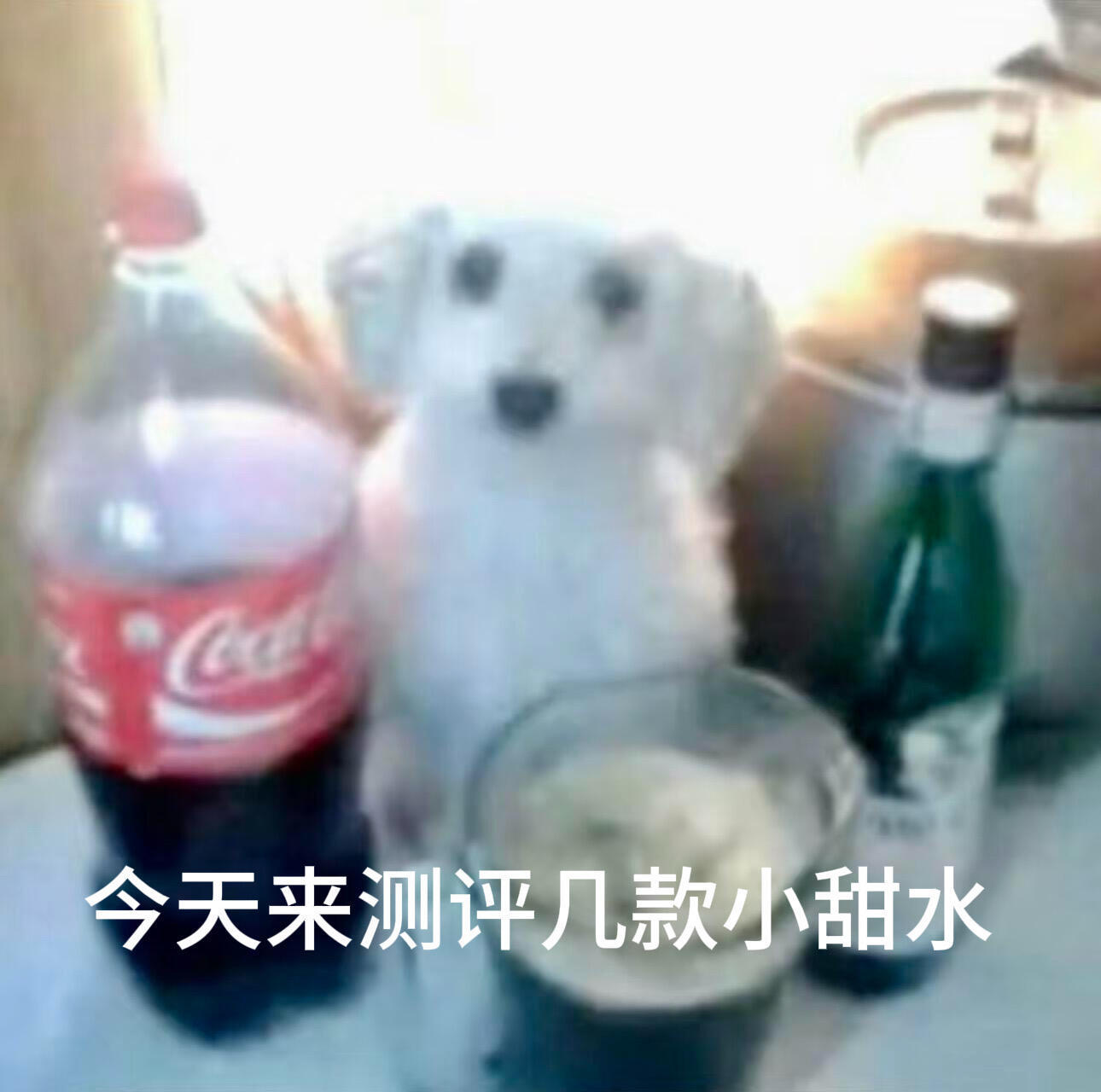 低像素抽象小动物表情包来咯[老师爱你] ​​​