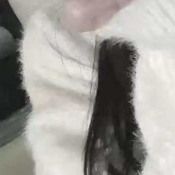 有人在奔跑，有人在睡觉，有人在感恩，有人在报怨，有目标的睡不着，没目标的人睡不醒