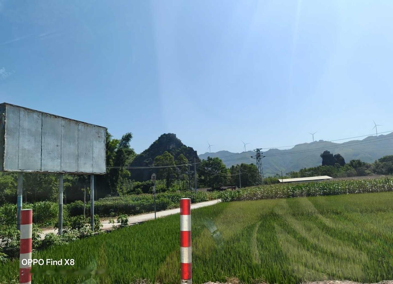 OPPO原相机拍摄车辆行驶中风景，晃动中也可清晰拍摄，图片直出一点也不糊！
OP