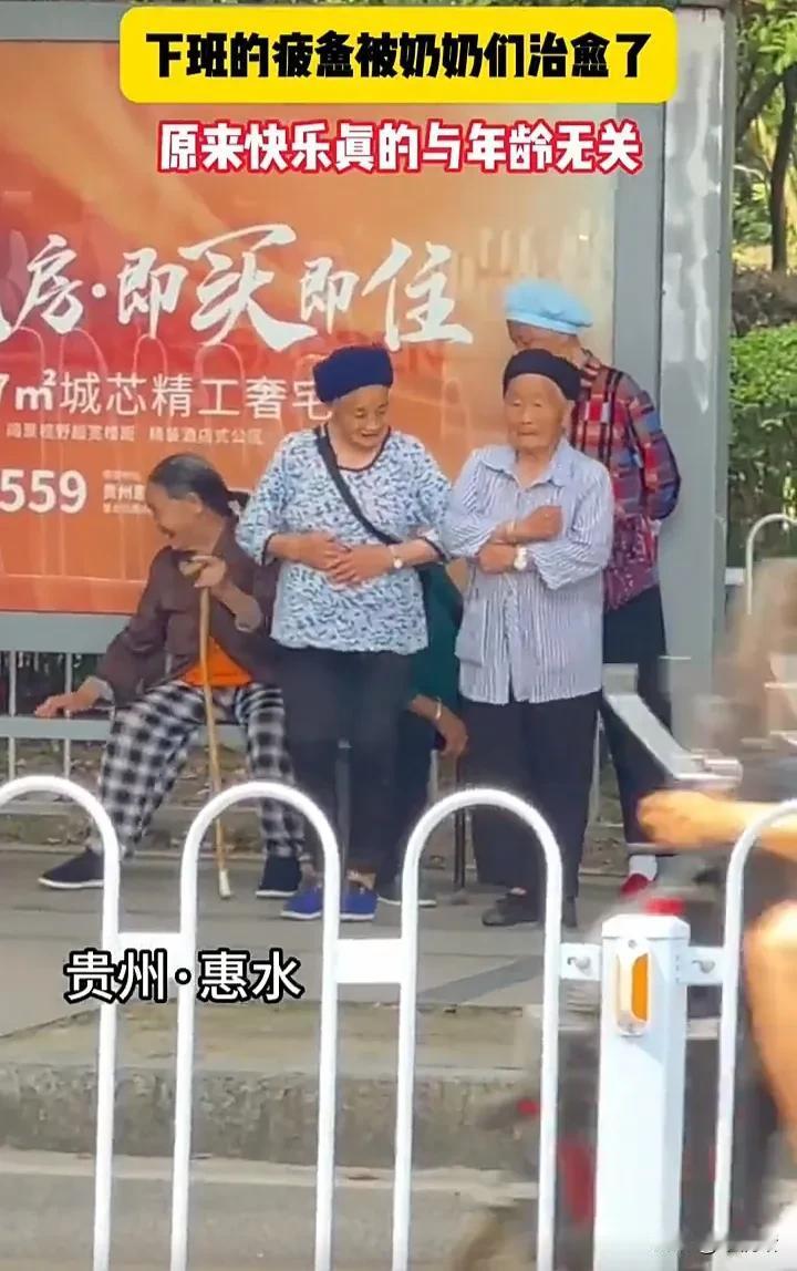 太羡慕了！7月7日，贵州惠水一名网友下班回家途中，看到五位老奶奶坐在公交站等公交