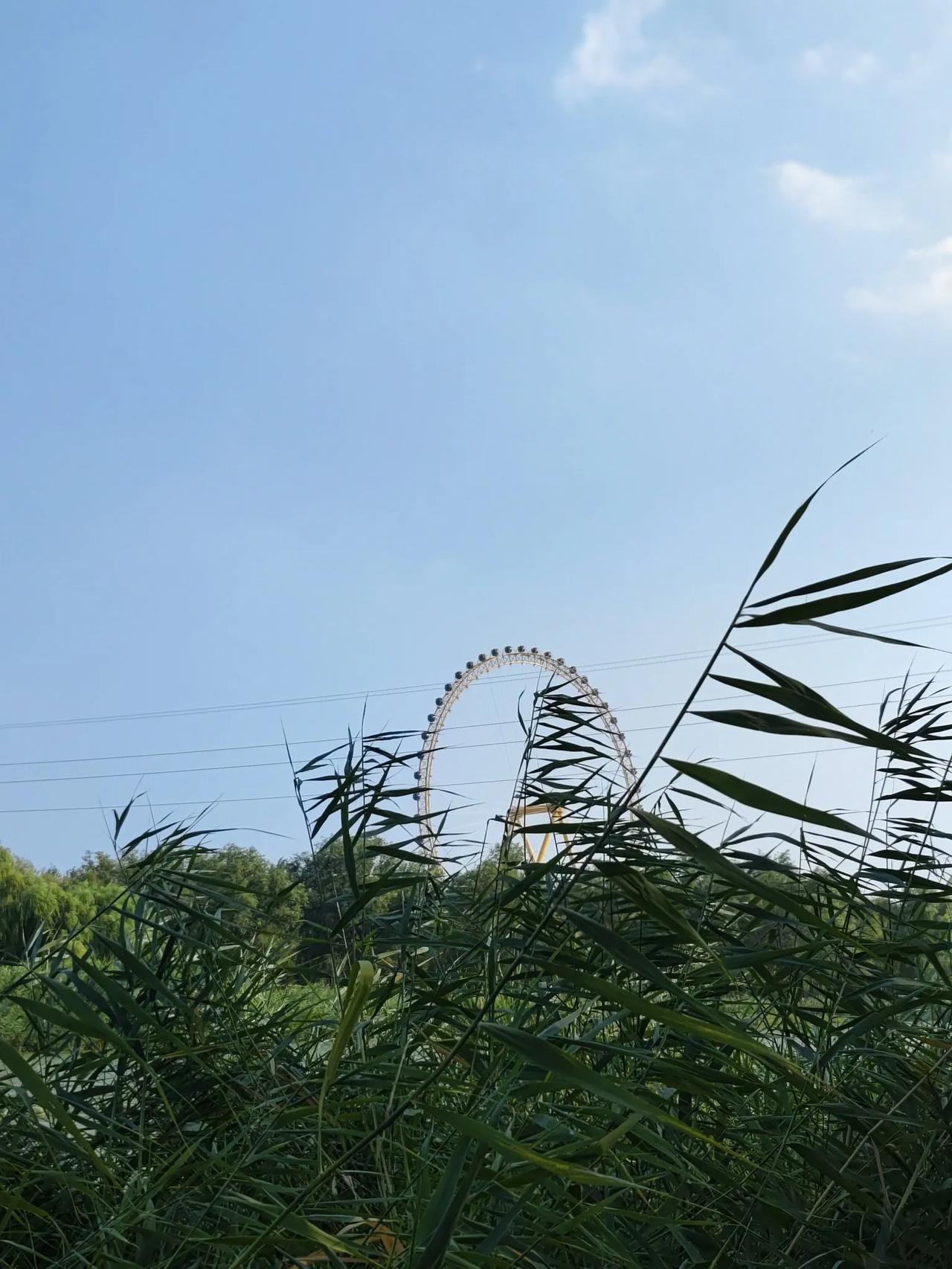 马尔克斯在《百年孤独》中写道：
我们总是想要找到
能为自己分担痛苦和悲伤的人
可