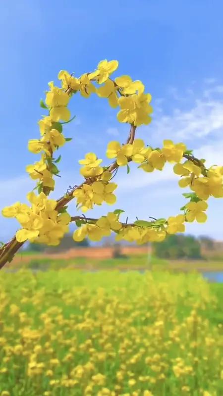 开心其实很简单。昨天的烦恼，就像过眼云烟，一笑而过就好，别让它影响今天的心情。