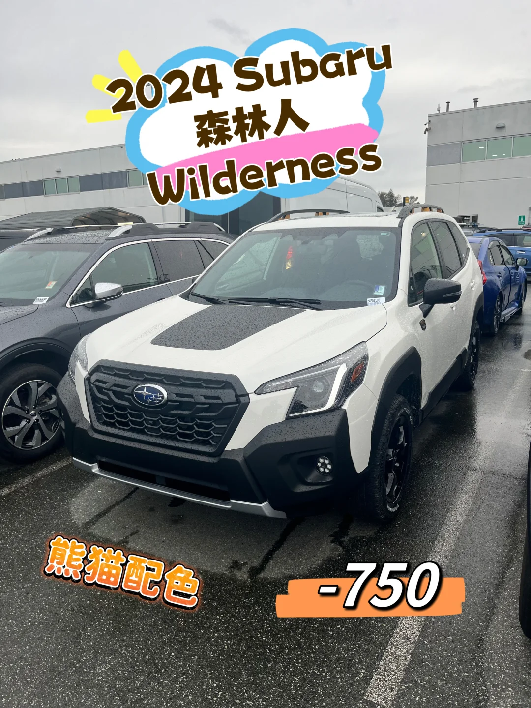 还有还有 2024 斯巴鲁森林人 Wilderness