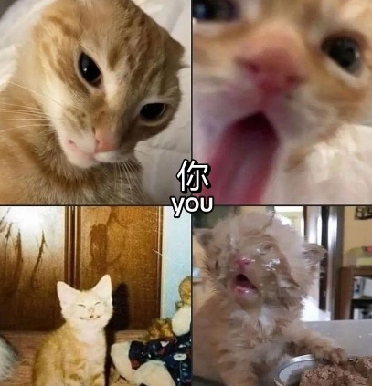 [喵喵] ​​​