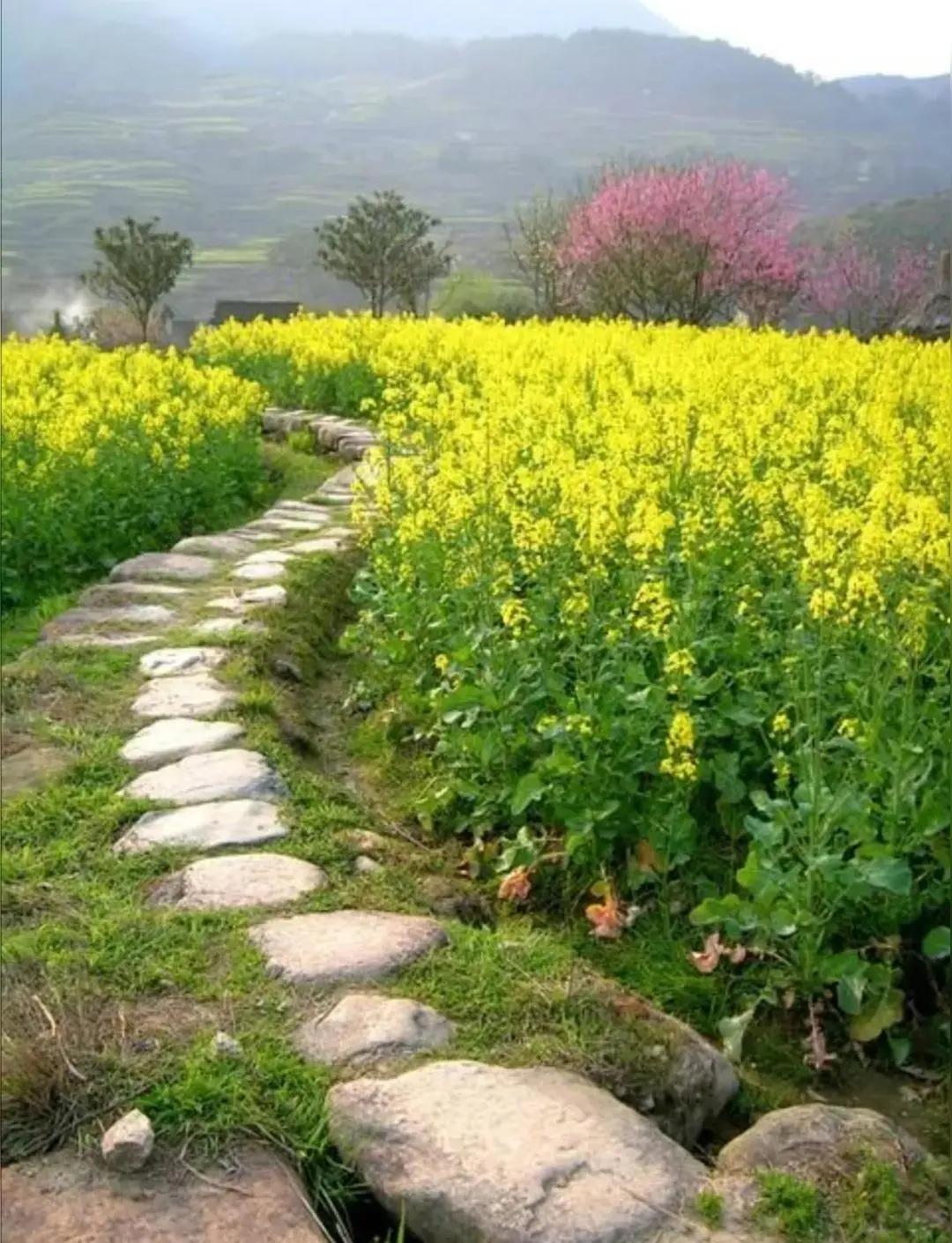 五十九岁开始跑步是不是太晚。每当我在小区看到年轻人跑步就觉得健康对人很重要，他们