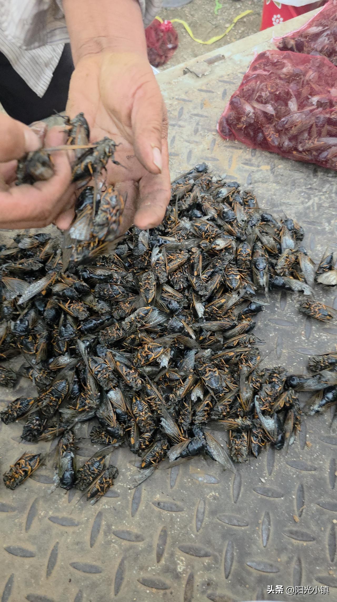 对乡亲们来说，这是一个沉重打击，对刚刚准备参与其中的人来说，打击更大……

今天